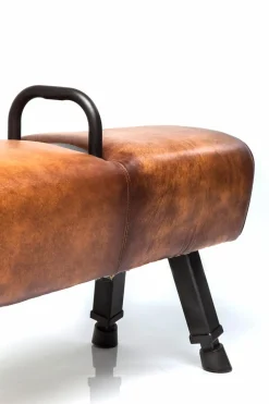 Bank Gym Gabby 79526