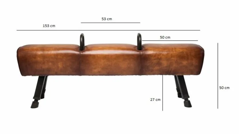 Bank Gym Gabby 79526