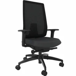 Drehstuhl Indeed mesh