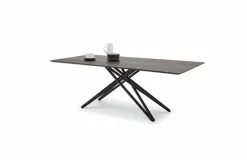 Esstisch Helmond 200 x 100 cm