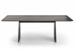 Esstisch Helmond 220 x 100cm