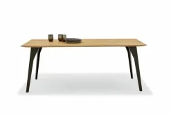 Esstisch Navarra 200 x 100 cm