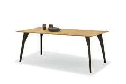 Esstisch Navarra 200 x 100 cm