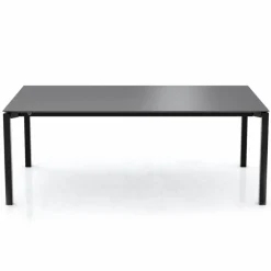 Esstisch Terra 220 x 100 cm