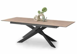 Esstisch Baltimore 200 x 100 cm