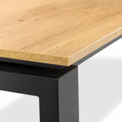 Esstisch ETQ92 190 x 100 cm