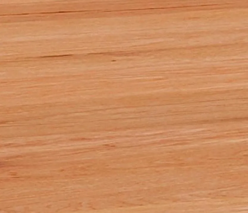 Esstisch Fresno 200 x 100 cm