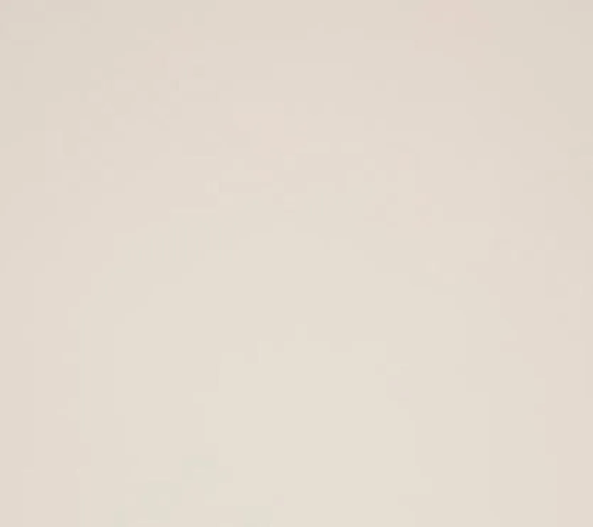 Esstisch Nealy 200 x 100 cm