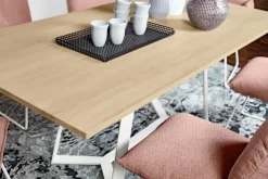 Esstisch Pinero 550 200 x 100 cm