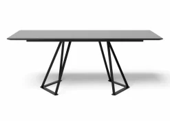 Esstisch Swing (5552) 220 x 100 cm