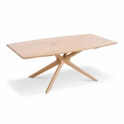 Esstisch V-Alpin 200 x 100 cm