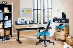 Funktionsboard PAIDI