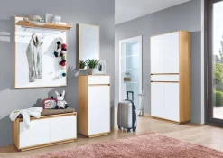 Garderobenspiegel V100