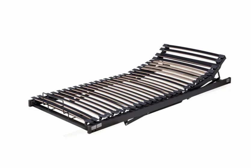 Lattenrost, Motor FORM 2000