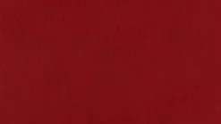 Liege 47002 daily dreams