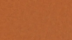 Liege 47000 daily dreams