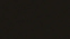 Liege 47003 daily dreams