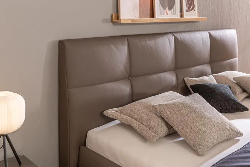 Polsterbett Bozana 180 x 200 cm