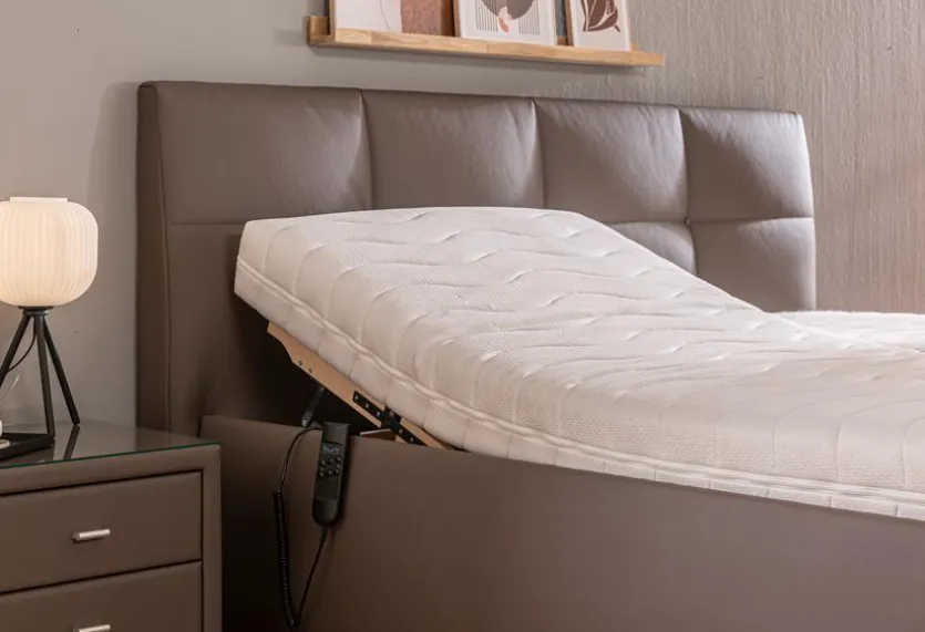 Polsterbett Bozana 180 x 200 cm