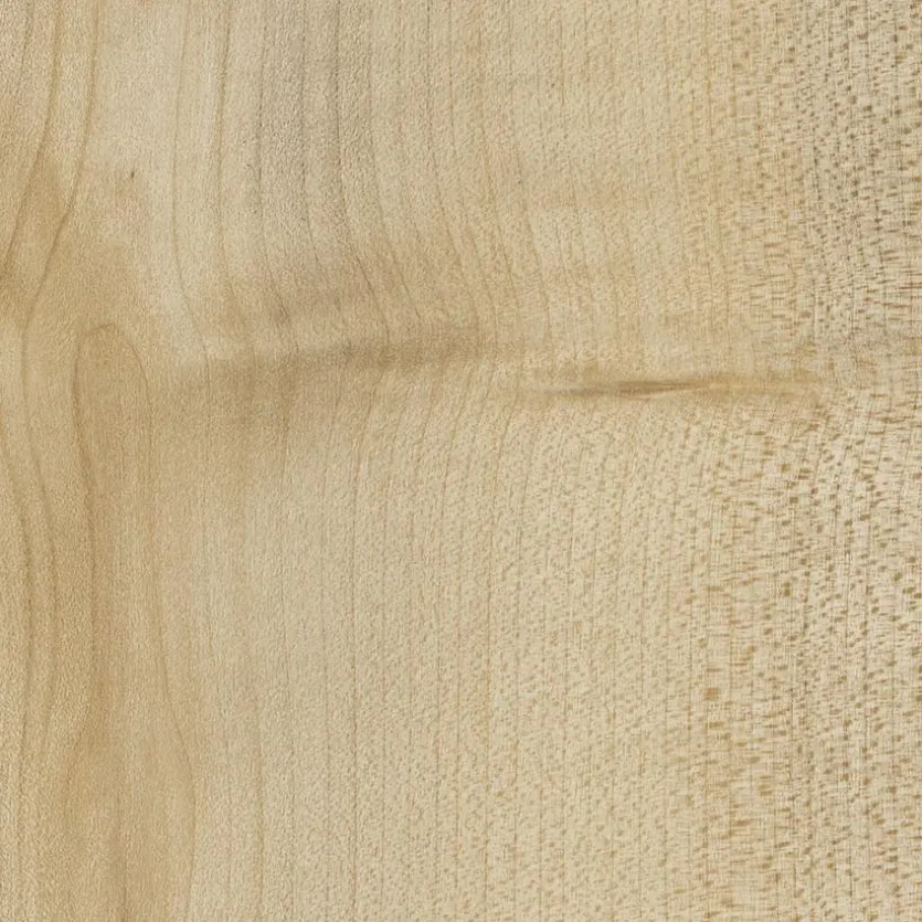 Rollcontainer Big Profi Office