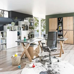 Rollcontainer Mister Office