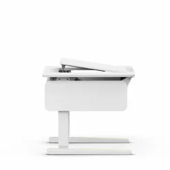 Schreibtisch e-Champion