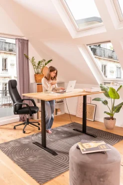 Schreibtisch elektrisch Durable Office 160 x 80 cm