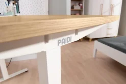 Schreibtisch e-lion 1