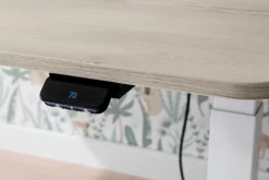 Schreibtisch e-lion 1