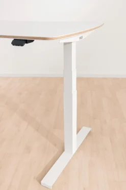 Schreibtisch e-lion 1