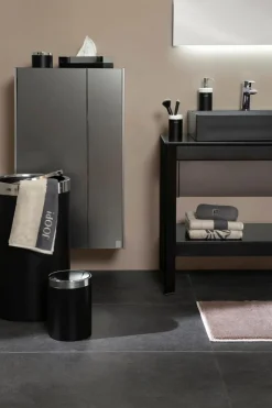 Schwingdeckeleimer Chromeline