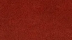 Sofa Experio - Free Motion