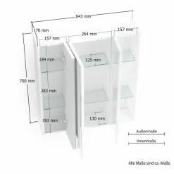 Spiegelschrank Mister
