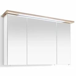 Spiegelschrank Quick 923