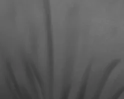 Stuhl Characters (6556)