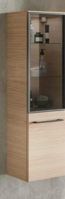 Vitrinen-Midischrank Universelle